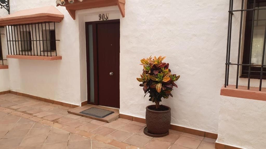 Puerto Banus Lejlighed Marbella Eksteriør billede